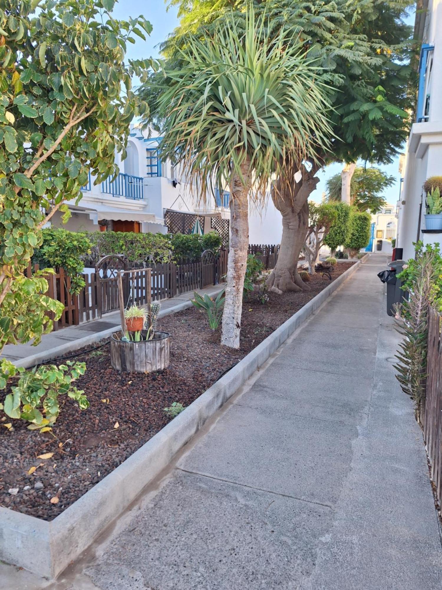 Poolfront Bungalow Playa del Inglés Exteriör bild
